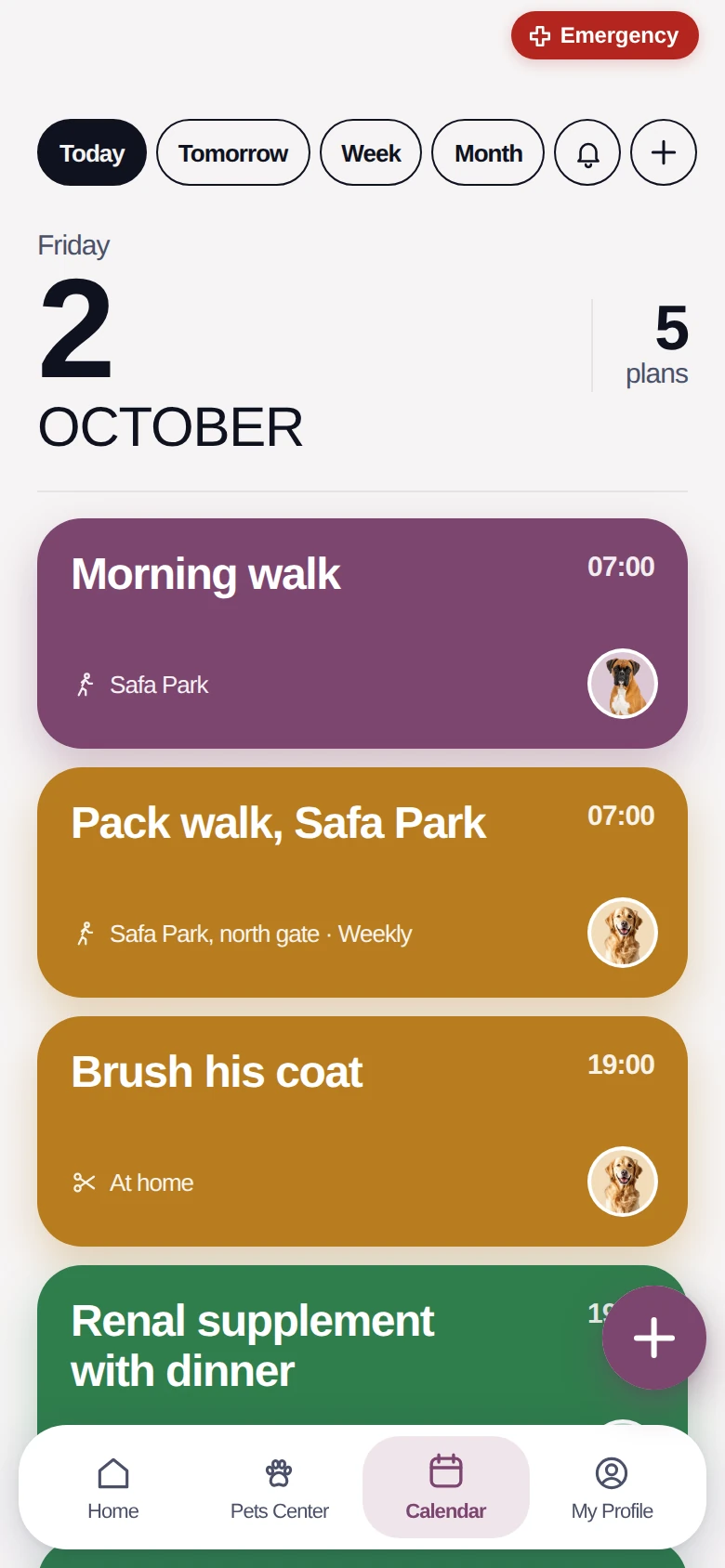 The care calendar for Friday 2 October: a morning walk, a pack walk at Safa Park, grooming and a renal supplement.