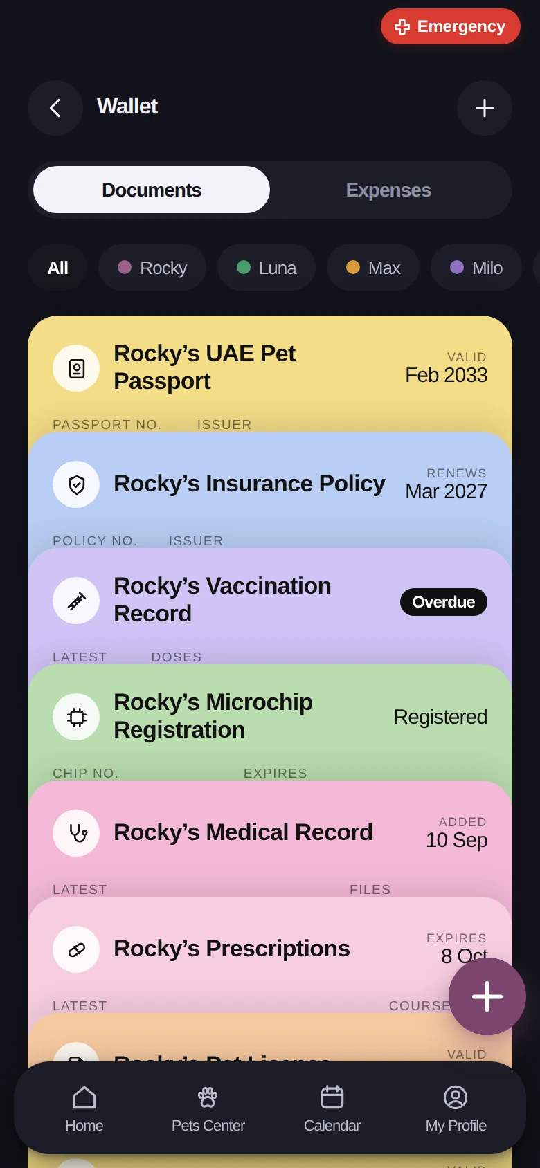 The Records Wallet, holding Rocky’s UAE pet passport, insurance policy, vaccination record and microchip registration.