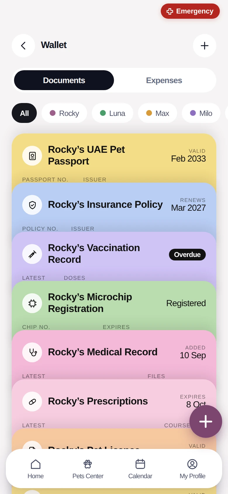 The Records Wallet, holding Rocky’s UAE pet passport, insurance policy, vaccination record and microchip registration.