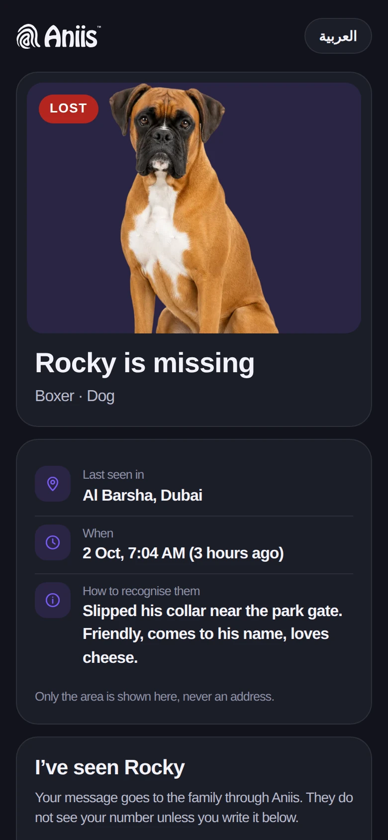 A public lost-pet page: Rocky is missing, last seen in Al Barsha, Dubai, with a way to report a sighting.