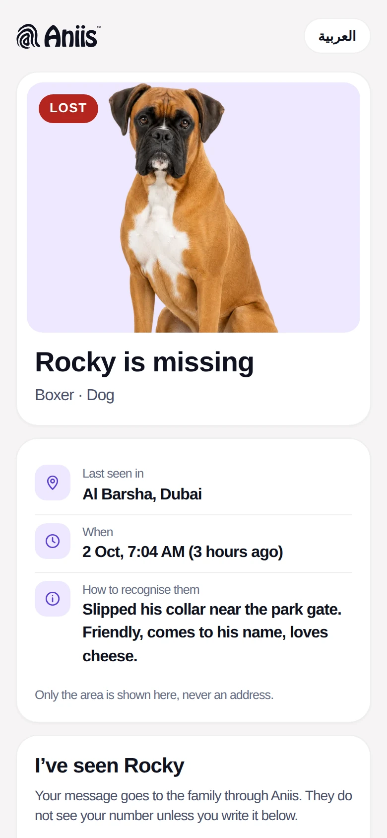 A public lost-pet page: Rocky is missing, last seen in Al Barsha, Dubai, with a way to report a sighting.