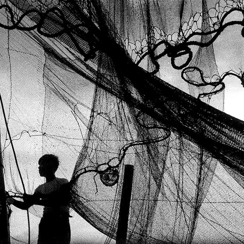 Nets hung to dry against the sky